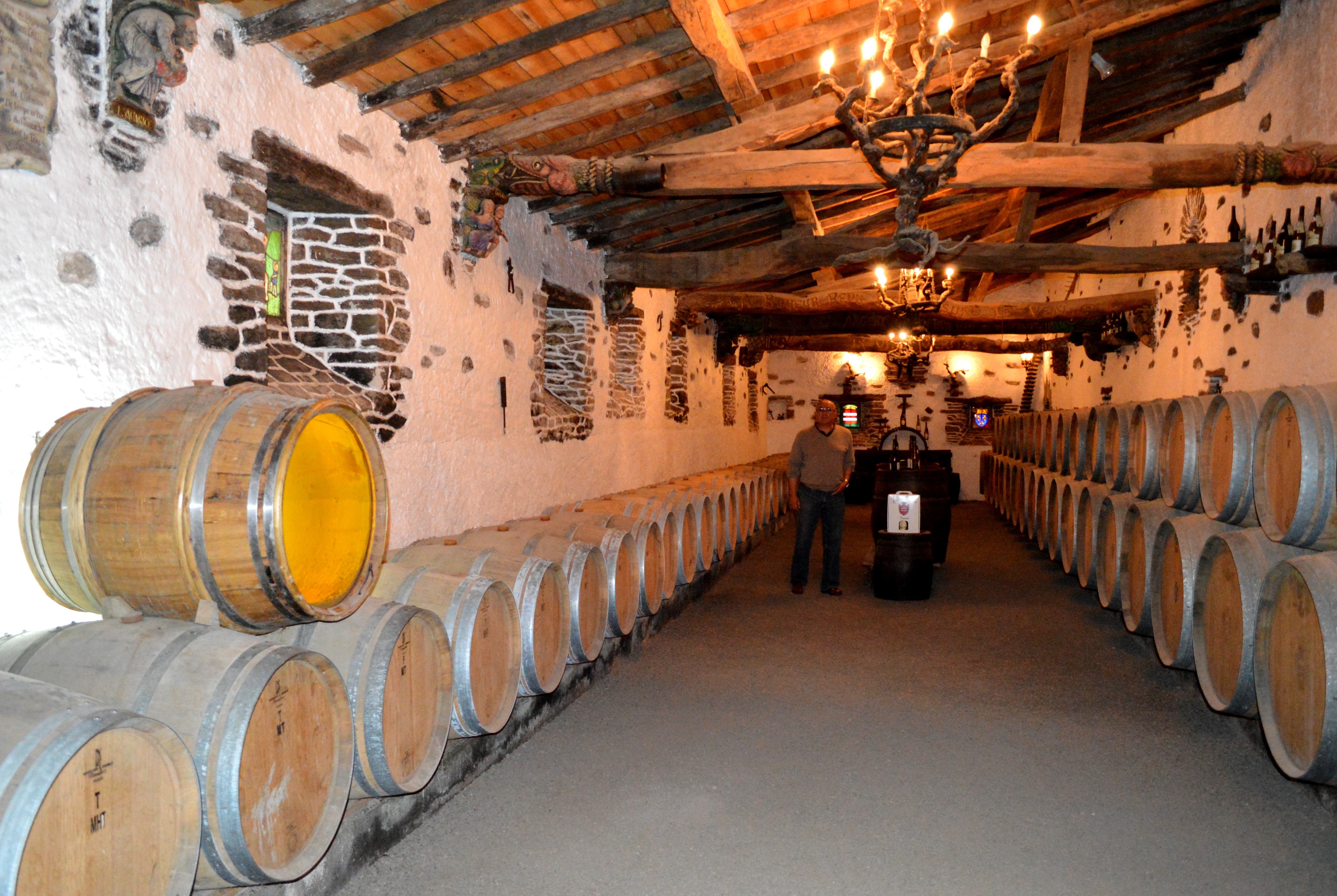 Domaine Chereau Carré - Passion CHR
